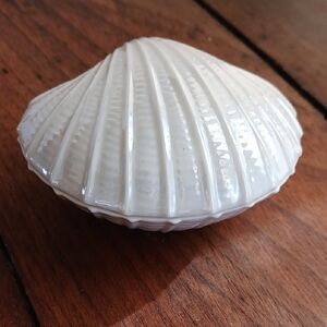 White Shell Trinket Box